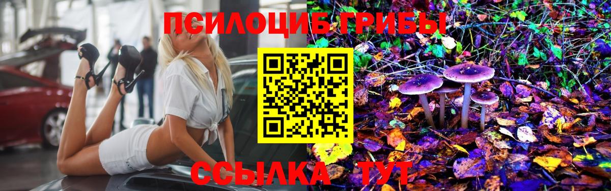 Псилоцибиновые грибы мицелий Северск