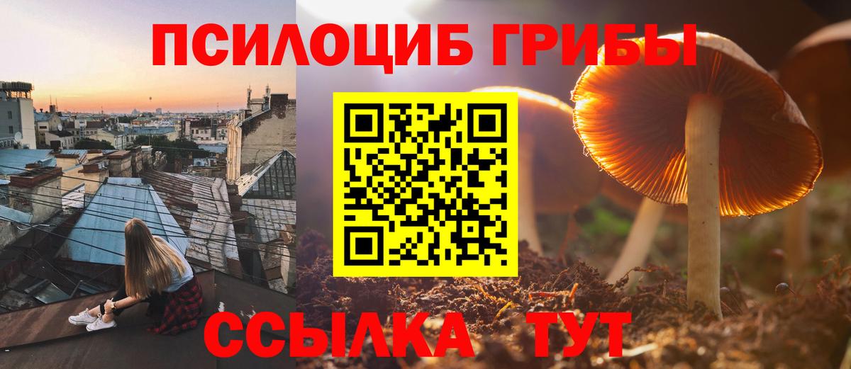 Северск  купить наркотики цена  Вход с VPN  Псилоцибиновые грибы ЛСД  Галлюциногенные грибы MAGIC MUSHROOMS 